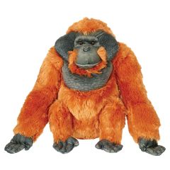 Artist Collection Orangutan