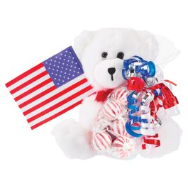 Kelli's Patriotic Bear Gift Set