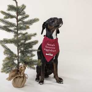 Embroidered Christmas Dog Collar Bandanas - Large