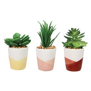 Ceramic Planters with Artificial Succulents