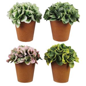 Artificial Potted Plants In Terra Cotta Like Pots