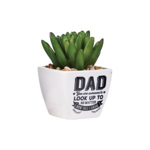 Sentiment Succulents - Dad