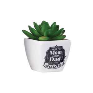 Sentiment Succulents - Mom & Dad