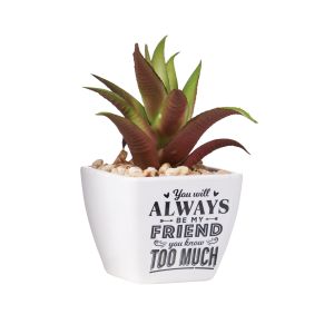 Sentiment Succulents - Always Be My Friend