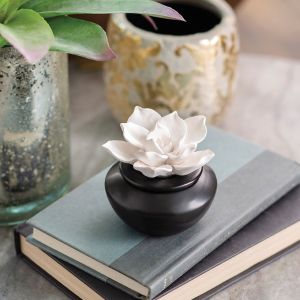 Porcelain Airome Diffuser with Peppermint Oil - Gardenia