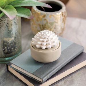 Porcelain Airome Diffuser with Peppermint Oil - Succulent