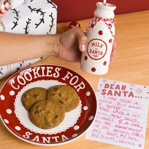 Santa's Cookie and Milk Set