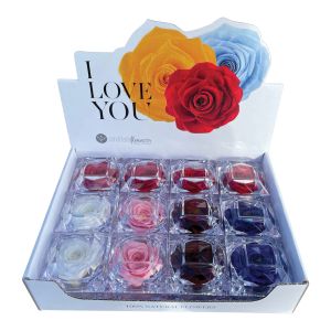 Natural Rose in Clear Acrylic Box