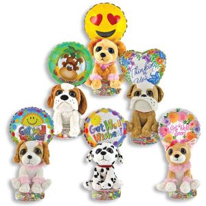 Get Well Bright Eyes Pooch Kelliloons - Hard Candy