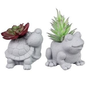 Cement Frog and Turtle Figures with Succulents