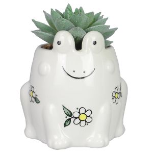Ceramic Planter with Faux Succulent - Frog
