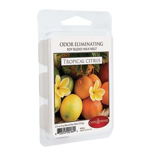 Odor Eliminating Soy Wax Melts - Tropical Citrus
