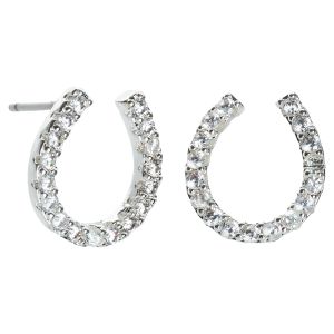 Amanda Blu Silver Drop Chain Earrings
