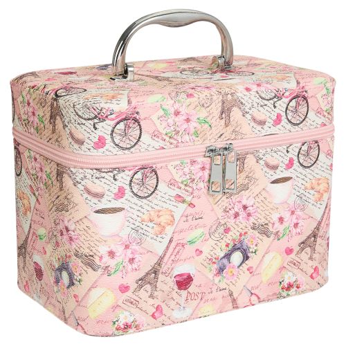 Pink Train Case with Paris Design