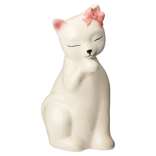 Porcelain Coquette Cat