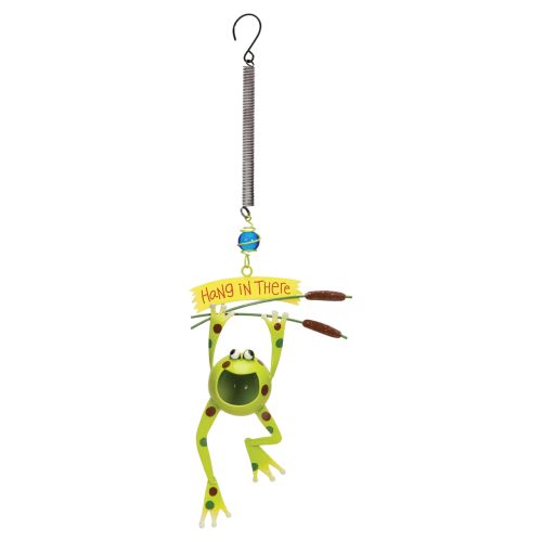 Hang in There Metal Frog Bouncy