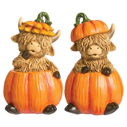 Highland Cow in Pumpkin Figures