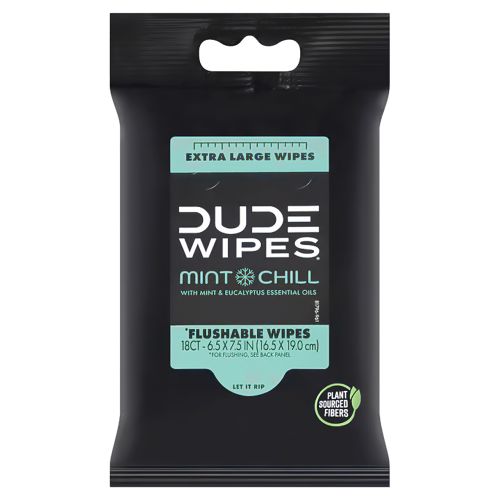 Dude Wipes Mint Chill Flushable Wipes
