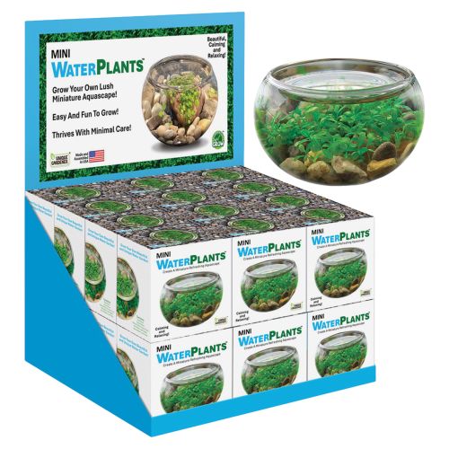 Mini WaterPlants Aquascape Kit